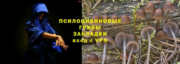шишки Куйбышев