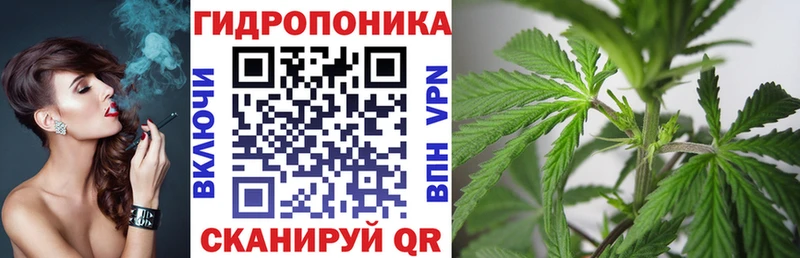 Бошки марихуана семена блэк спрут tor Сычёвка
